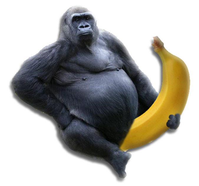 Gorilla Cock Logo